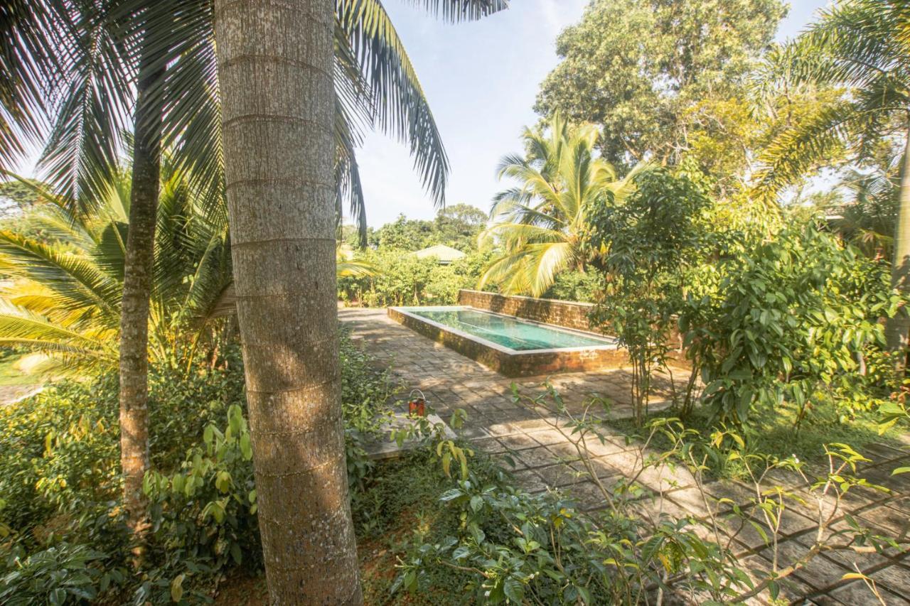 The Coastal Village Cabanas Ahangama Bagian luar foto